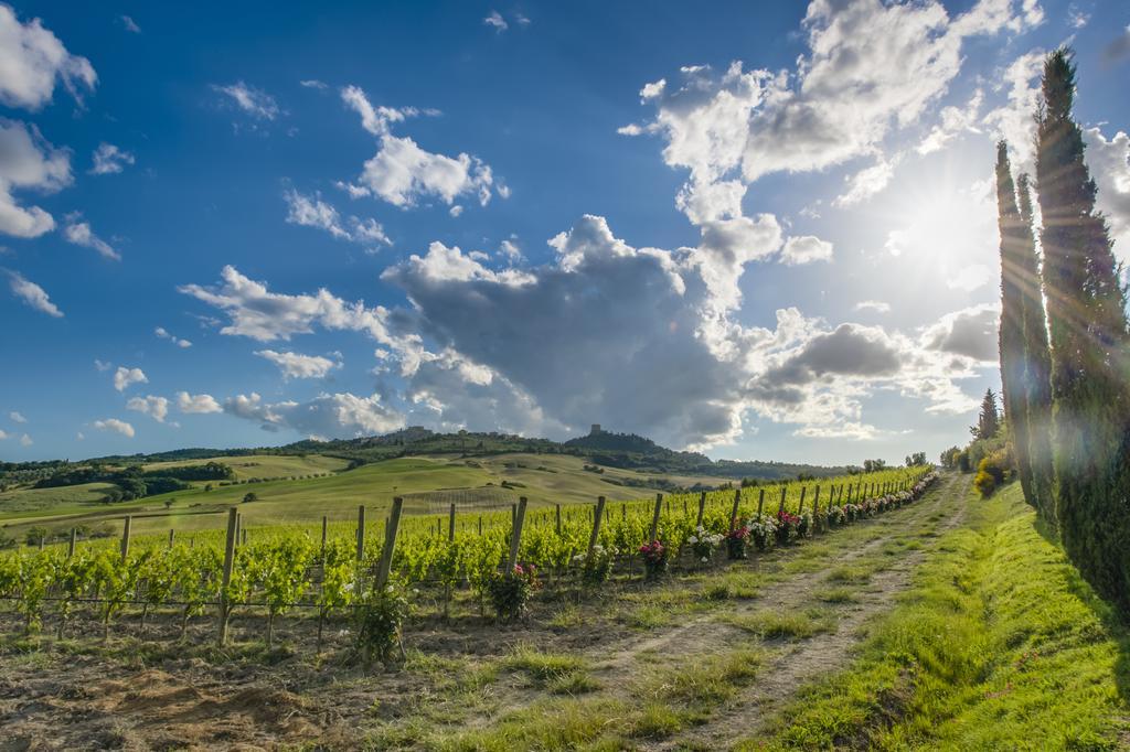 Agriturismo Poggio Istiano バーニョ・ヴィニョーニ エクステリア 写真
