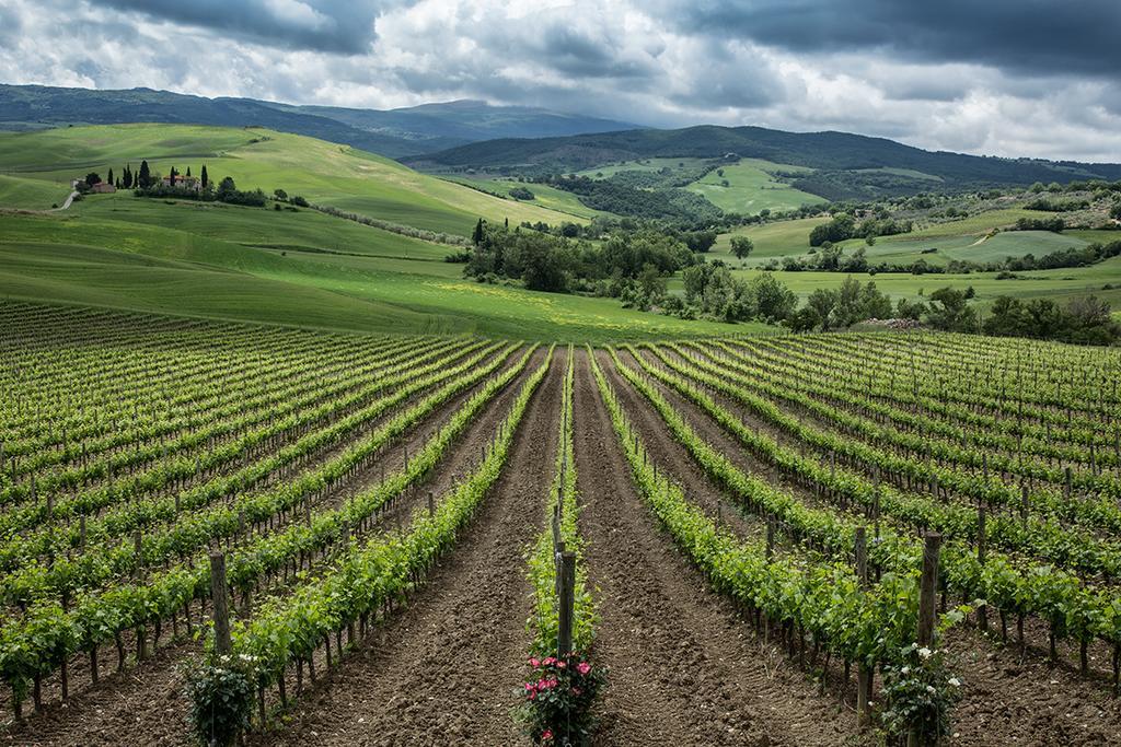 Agriturismo Poggio Istiano バーニョ・ヴィニョーニ エクステリア 写真